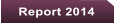 Report 2014