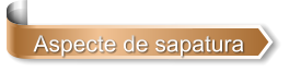 Aspecte de sapatura