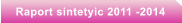 Raport sintetyic 2011 -2014
