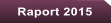 Raport 2015