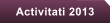 Activitati 2013