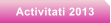 Activitati 2013