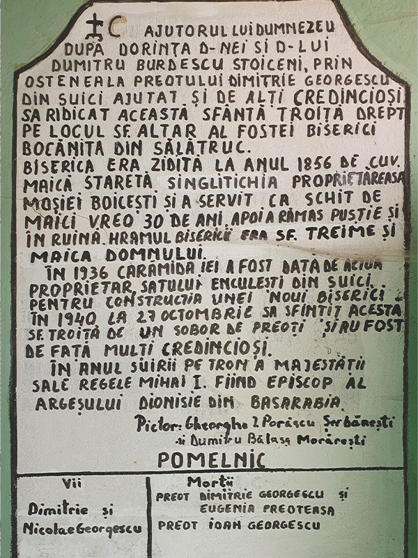 Pisania troitei