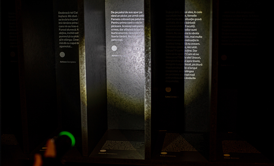 Detalii expozitie “Duşmance ale poporului”