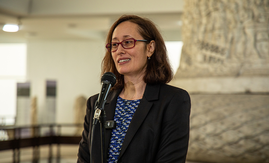 Virginia Ion, curatorul expoziției