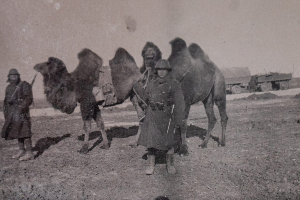 repWARtaje - o nouă expoziție la MNIR –